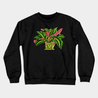 Calathea Warscewiczii botanical illustration Crewneck Sweatshirt